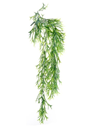 PIANTE: vendita online PIANTA 13770029-01 CITRONELLA VERDE RAMPICANTE in offerta