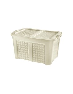 BOX E CONTENITORI SALVASPAZIO: vendita online Tontarelli Baule Arianna, contenitore plastica, 79x55x44 cm, colori assortiti, ...
