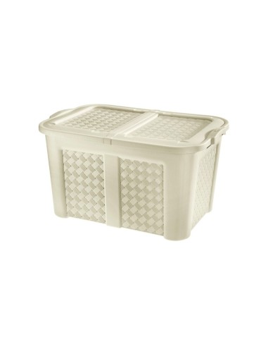 BOX E CONTENITORI SALVASPAZIO: vendita online Tontarelli Baule Arianna, contenitore plastica, 79x55x44 cm, colori assortiti, ...