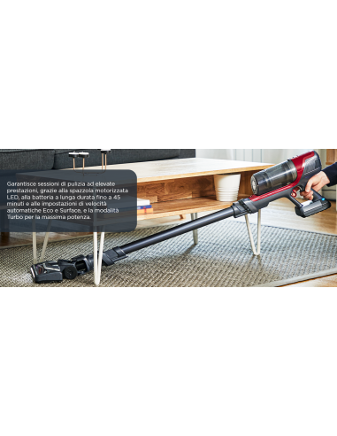 Rowenta X-PERT 6.60 Aspirapolvere Senza Fili con Kit Animal Care, 4...