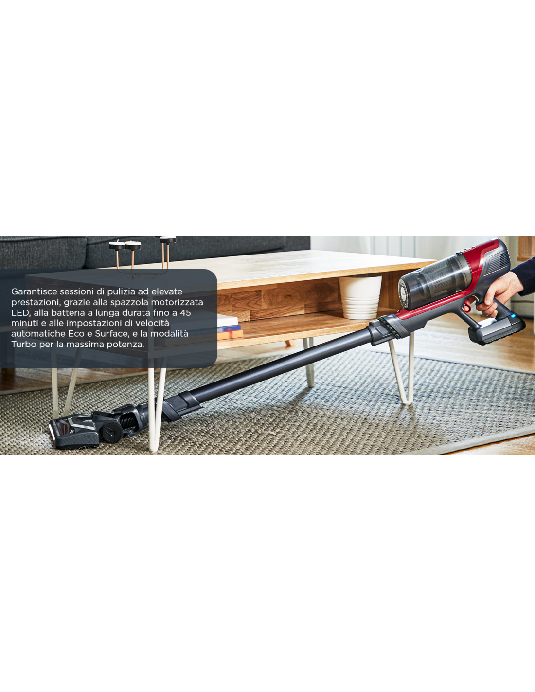 Rowenta X-PERT 6.60 Aspirapolvere Senza Fili con Kit Animal Care, 4...