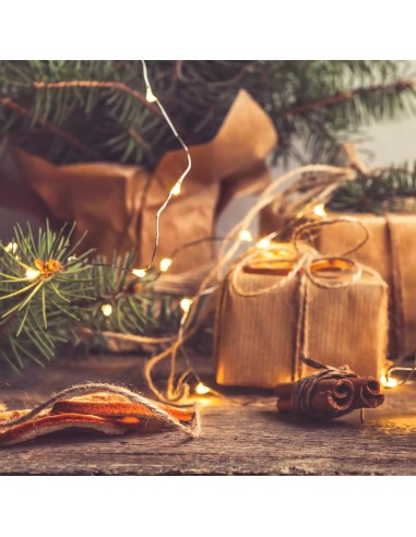 LUCI DI NATALE: vendita online Luci di Natale Catena da 4mt con 40 MicroLED Bianco Caldo con Batteria e Porta Micro USB in of...