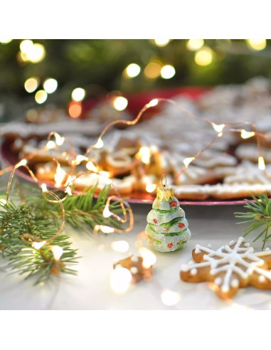 LUCI DI NATALE: vendita online Luci di Natale Catena da 10mt con 100 MicroLED a batteria Bianco Caldo con Telecomando e Timer...