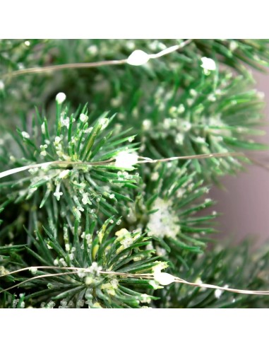 LUCI DI NATALE: vendita online Luci di Natale Catena da 4mt con 40 MicroLED Bianco Freddo con Cavo Argento in offerta
