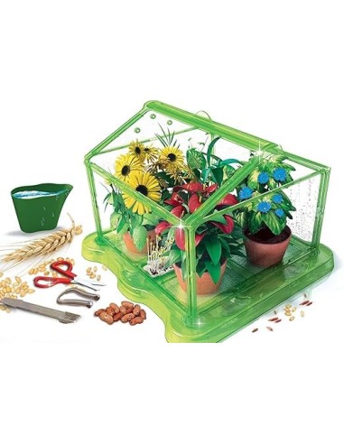 Laboratorio di Botanica per Bambini-Liscianigiochi i - Serra, Vasi e Semi Inclusi | Shop in Casa