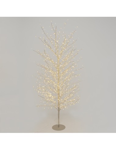 LUCI DI NATALE: vendita online Albero Ramo Tiglio Champagne 200cm con 1120 MicroLED FlashLED in offerta