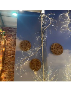 LUCI DI NATALE: vendita online Ramo di Natale Climber Bianco: La Magia di Natale con 504 MicroLED in offerta 2
