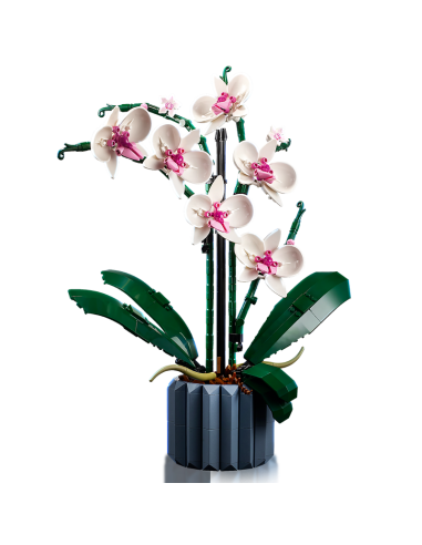 GIOCATTOLO PUBBLICIZZATO: vendita online Lego Botanical collection Orchidea 10311 in offerta