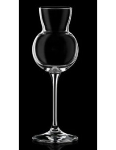 INVINO CONF 6 CALICI ACQUAVITE 11CL
