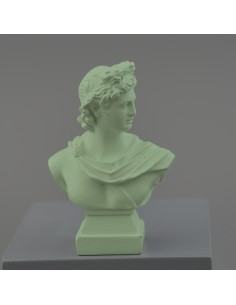 622X568 BUSTO APOLLO AVION su Shop in Casa