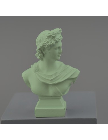 622X568 BUSTO APOLLO AVION su Shop in Casa