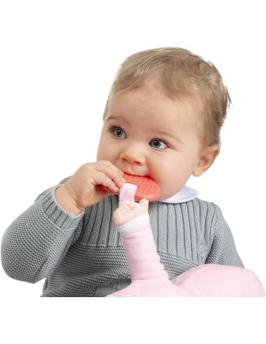 Chicco Gioco La Mia Prima Bambola Rosa - Massaggiagengive e Lavabile | Shopincasa.it