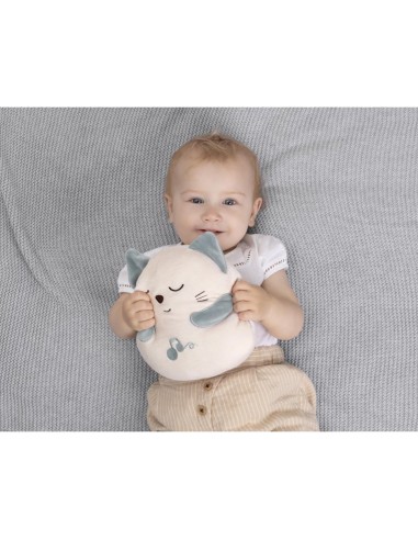 Chicco Pupazzo Gattino Dolce Fusa - Peluche Interattivo con Musica e Vibrazione | Shopincasa