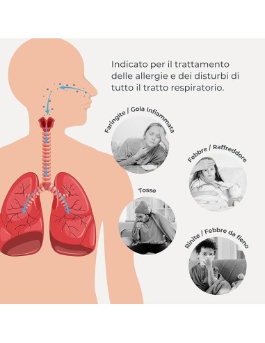 Nuvita 5030 Aerosol Portatile a Pistone Ricaricabile | shopincasa.it