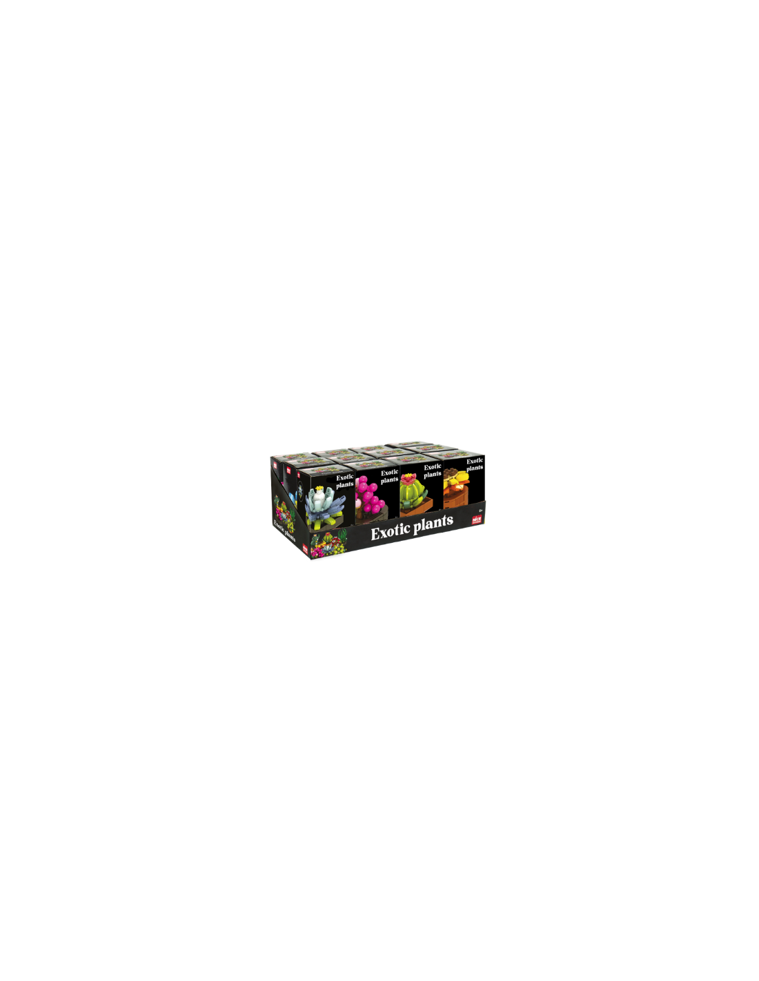 Nice Mattoncini Exotic Plants – Piante Esotiche Assortite | shopincasa.it