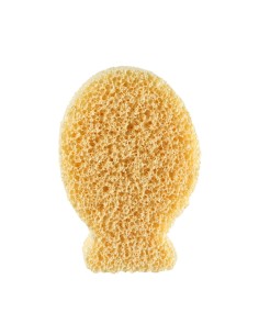 ACCESSORI: vendita online CH 11524 SPUGNA IONI ARGENT in offerta 2