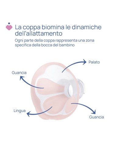 Tiralatte Elettrico Stimolatte Chicco | shopincasa.it