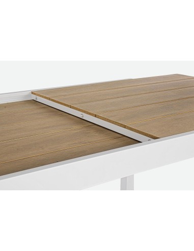 TAVOLI: vendita online Tavolo Allungabile Elias 200/300x95 Bianco, Alluminio e Polywood, Bizzotto in offerta