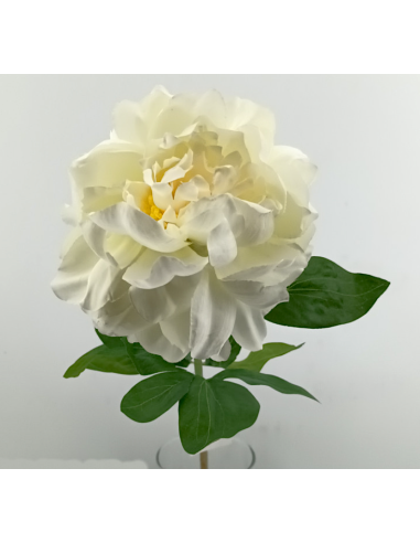 FIORE 40000001-10 PEONIA BIANCA 65CM
