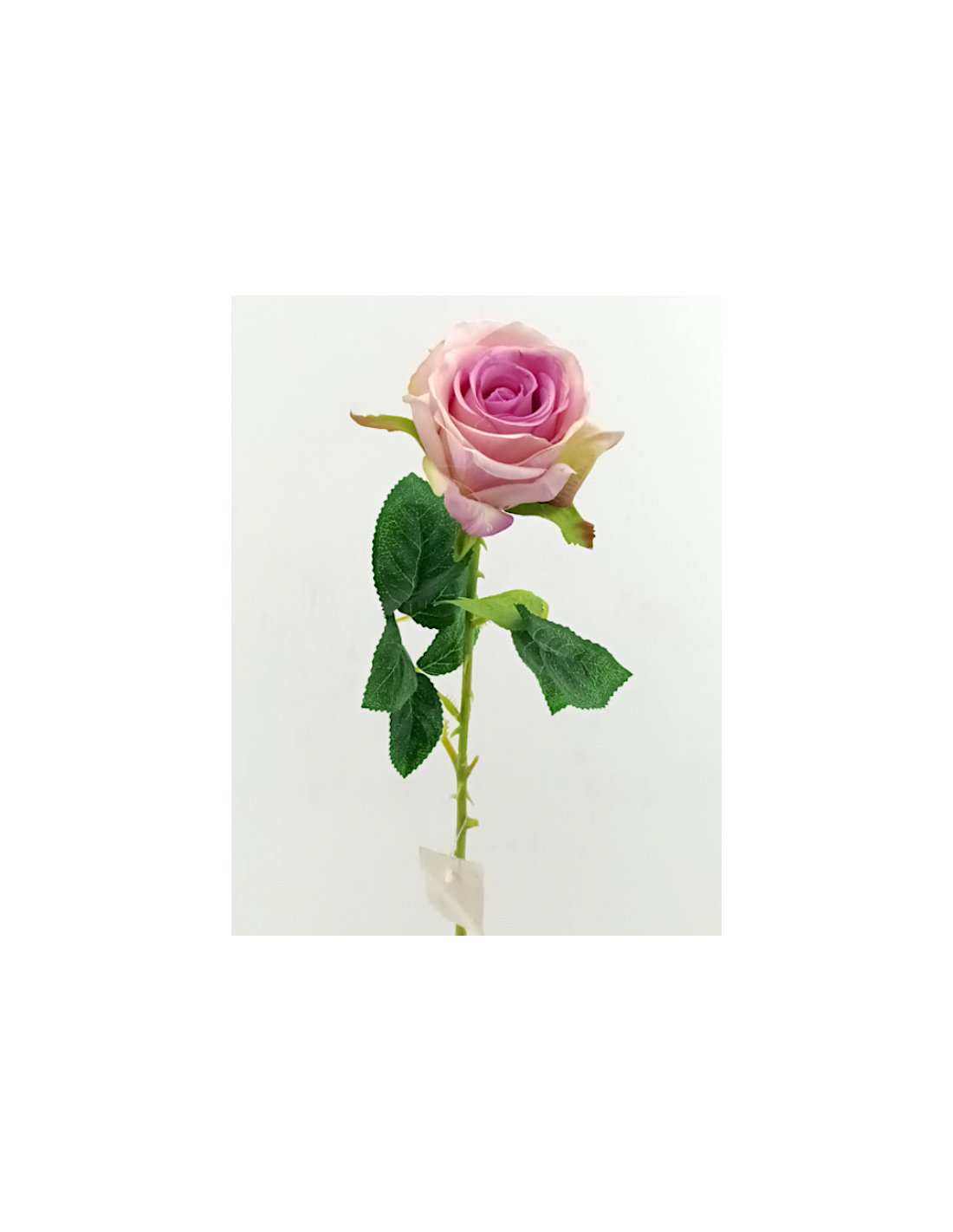 FIORE 40000004-33 ROSA COLOMBIANA LILLA 65CM