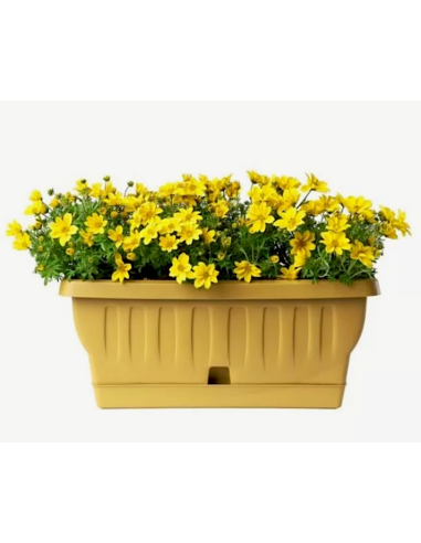 VASI E SOTTO VASI: vendita online FIORIERA NATURA 30185 20CM OCRA in offerta