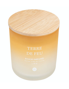CANDELE: vendita online Candela profumata Terre de Feu Bouquet di Lila 255 g – Atmosphera in offerta