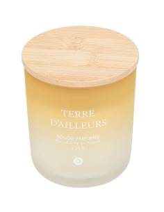 CANDELE: vendita online Candela profumata Terre d’Ailleurs Petali di Muschio 255 g – Atmosphera in offerta