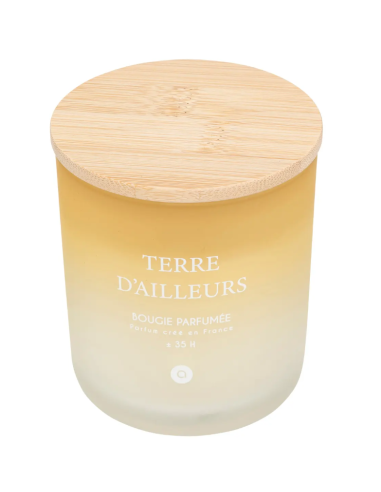 Candela profumata Terre d’Ailleurs Petali di Muschio 255 g | shopincasa.it