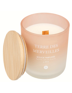 CANDELE: vendita online Candela profumata Terre des Merveilles Petali di Muschio 255 g – Atmosphera in offerta