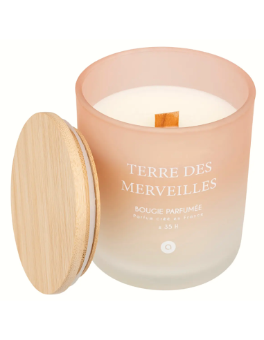 CANDELA PROFUMATA 204705D TERRE DES MERVEILLES 255GR VETRO