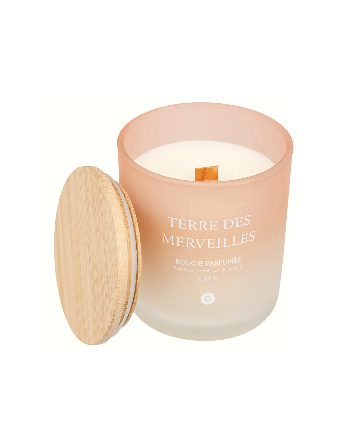Candela profumata Terre des Merveilles Petali di Muschio 255 g | shopincasa.it