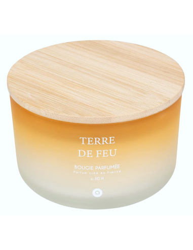 CANDELA PROFUMATA 204706B TERRE DE FEU 420GR VETRO