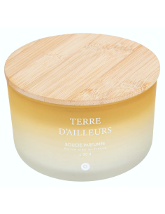 CANDELE: vendita online Candela profumata Terre d’Ailleurs Petali di Muschio 420 g – Atmosphera in offerta