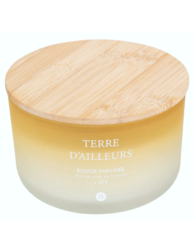 CANDELA PROFUMATA 204706C TERRE DAILLEURS 420GR VETRO