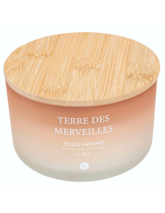 CANDELE: vendita online Candela profumata Terre des Merveilles Petali di Muschio 420 g – Atmosphera in offerta