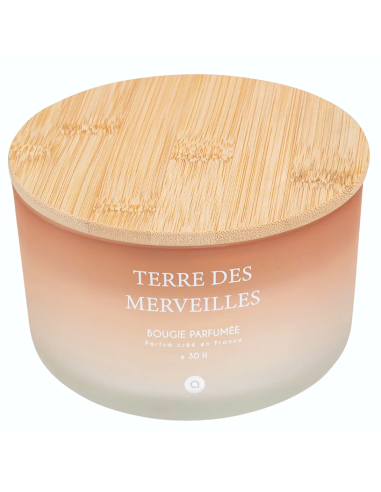 CANDELA PROFUMATA 204706D TERRE DES MERVEILLES 420GR VETRO