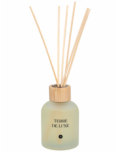 DIFFUSORE 204707A TERRE DE LUNE 150ML VETRO