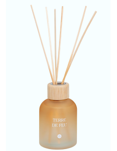 PROFUMATORI: vendita online Diffusore di profumo Terre de Feu 150 ml – Atmosphera in offerta