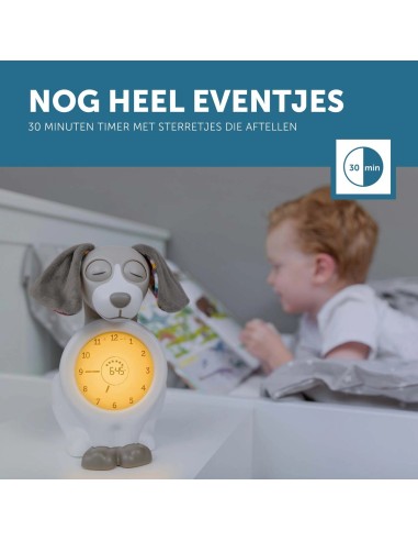 Zazu Sleeptrainer Davy Grijs – Semplice Allenamento del Sonno per Bambini | shopincasa.it