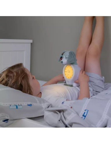 ZAZU Orologio Didattico per Bambini – Apprendimento del Sonno | shopincasa.it