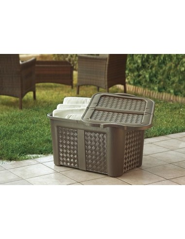 BOX E CONTENITORI SALVASPAZIO: vendita online Tontarelli Baule Arianna, contenitore plastica, 79x55x44 cm, colori assortiti, ...