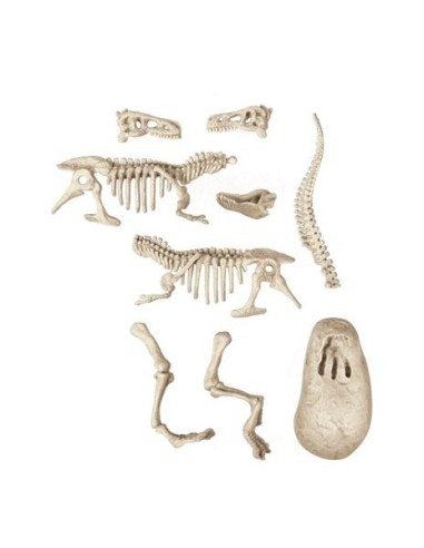 Archeogiocando Velociraptor Luminoso al Buio - Kit Paleontologo - Shopincasa