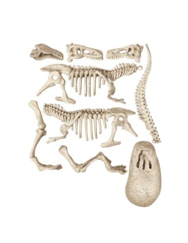 Archeogiocando T-Rex Luminoso al Buio - Kit Paleontologo con Realtà Aumentata - Shopincasa