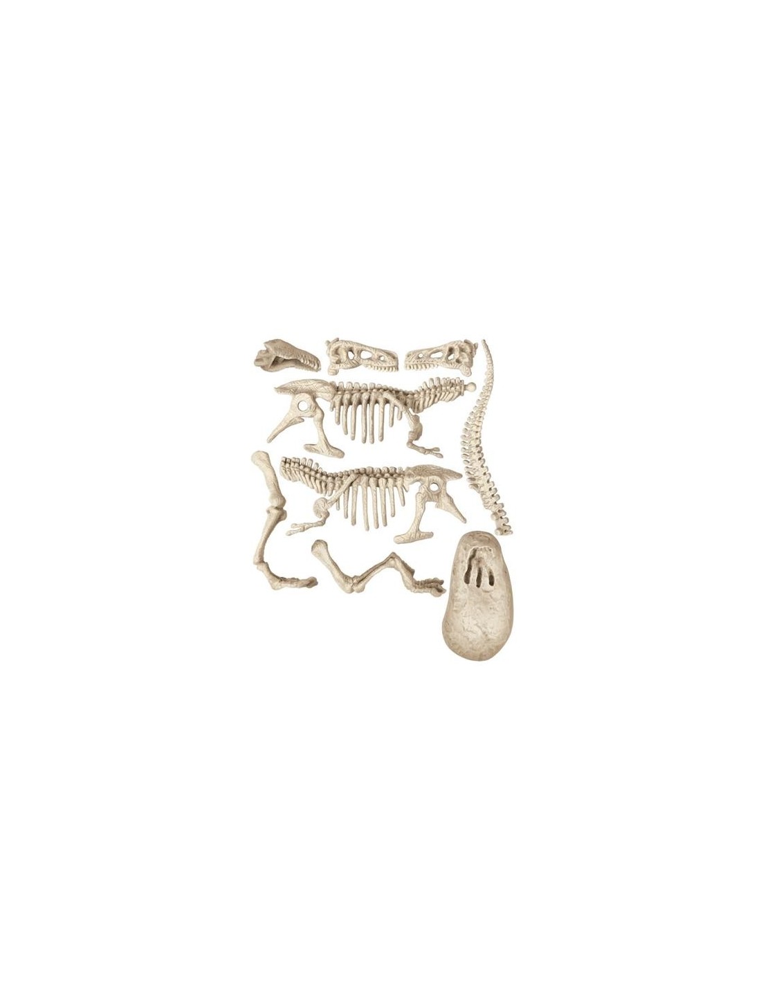 Archeogiocando T-Rex Luminoso al Buio - Kit Paleontologo con Realtà Aumentata - Shopincasa