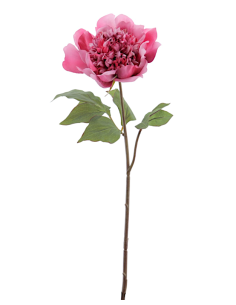 FIORE 1423-07 PEONIA FUCSIA