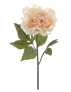 FIORE 1423-31 PEONIA BEIGE