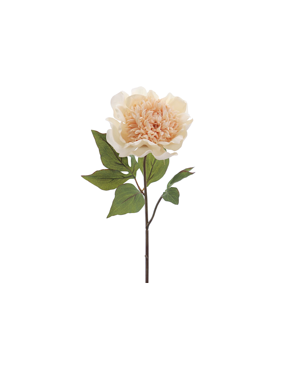 FIORE 1423-31 PEONIA BEIGE