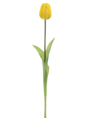 FIORE 2748-02 TULIPANO GIALLO