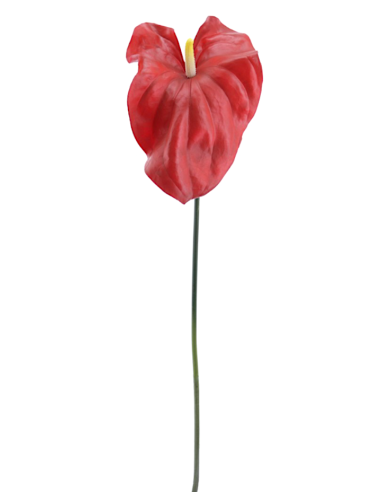 FIORE 2748-08 TULIPANO ROSSO