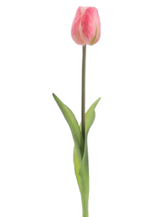 FIORE 2748-12 TULIPANO ROSA